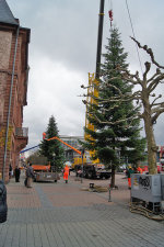 Weihnachtsbäume Weihnachtsbäume
