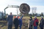 Storchennest wird aufgebaut Storchennest wird aufgebaut